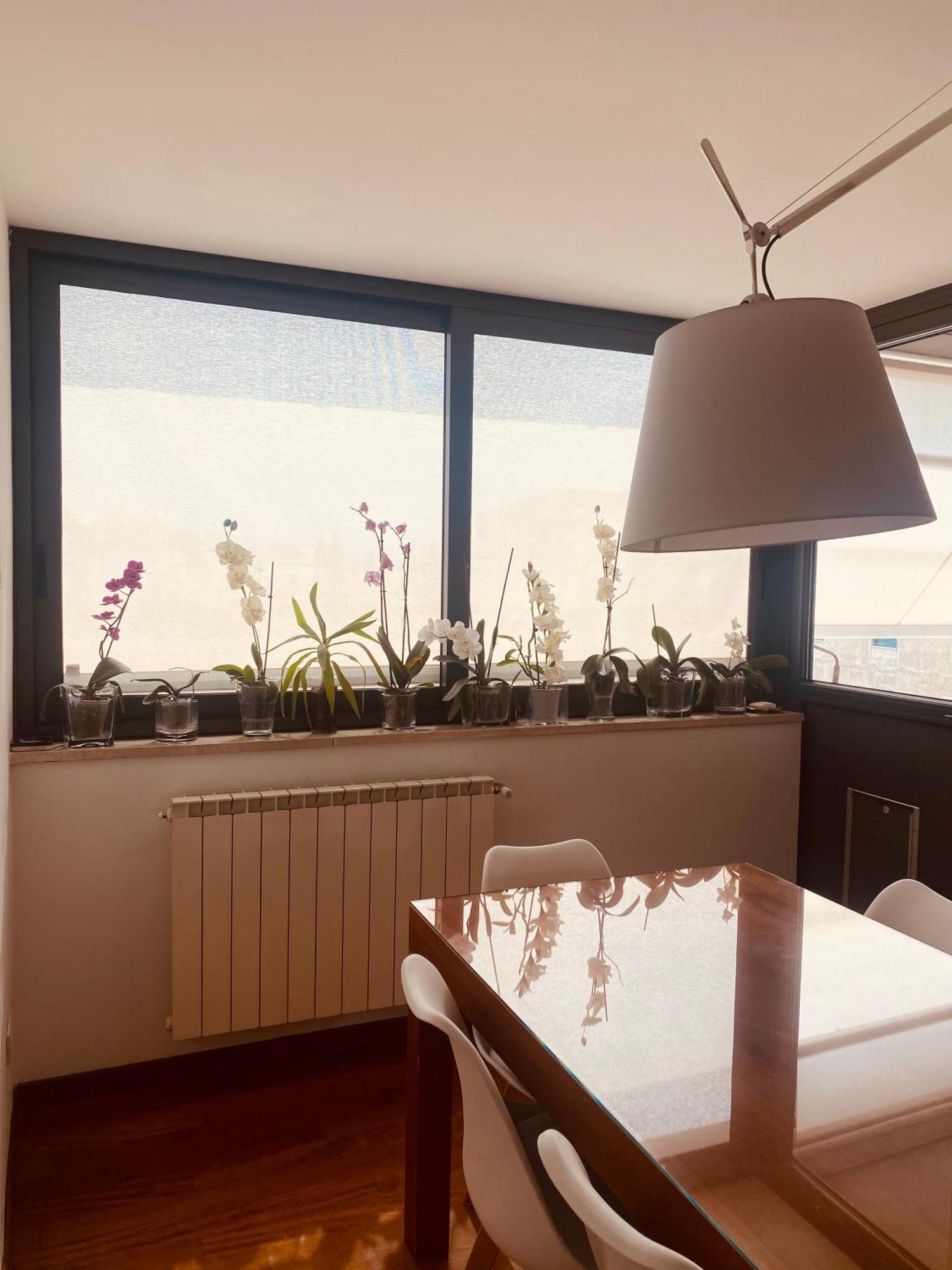 La Casa Di Dani * Firenze
